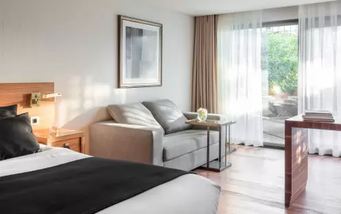 Superior Mountain View Room